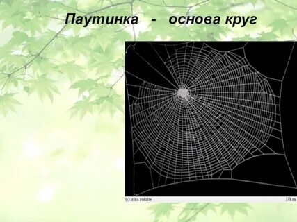 Паутинка разбор