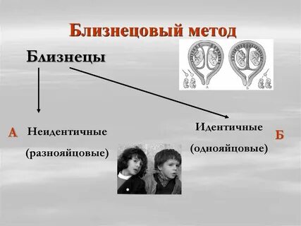 Метод контрольного близнеца