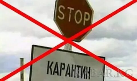 Карантин по бешенству в москве 2024