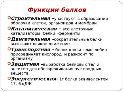 Строение и функции белков конспект