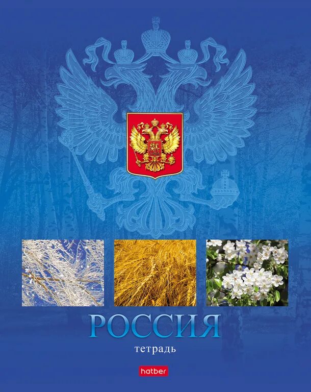 Дневник с государственной символикой. Российская 48 л. Российская 48 л. Российская 48 л. Тетрадь 48 листов.