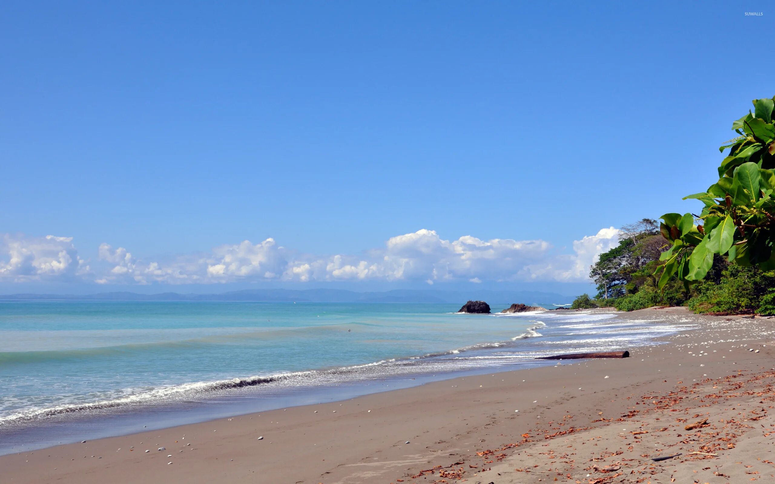Пляж Мансанильо, Коста-Рика. Носара Коста Рика. Море Коста Рика. Пляжи Коста Рики. Пляжи коста