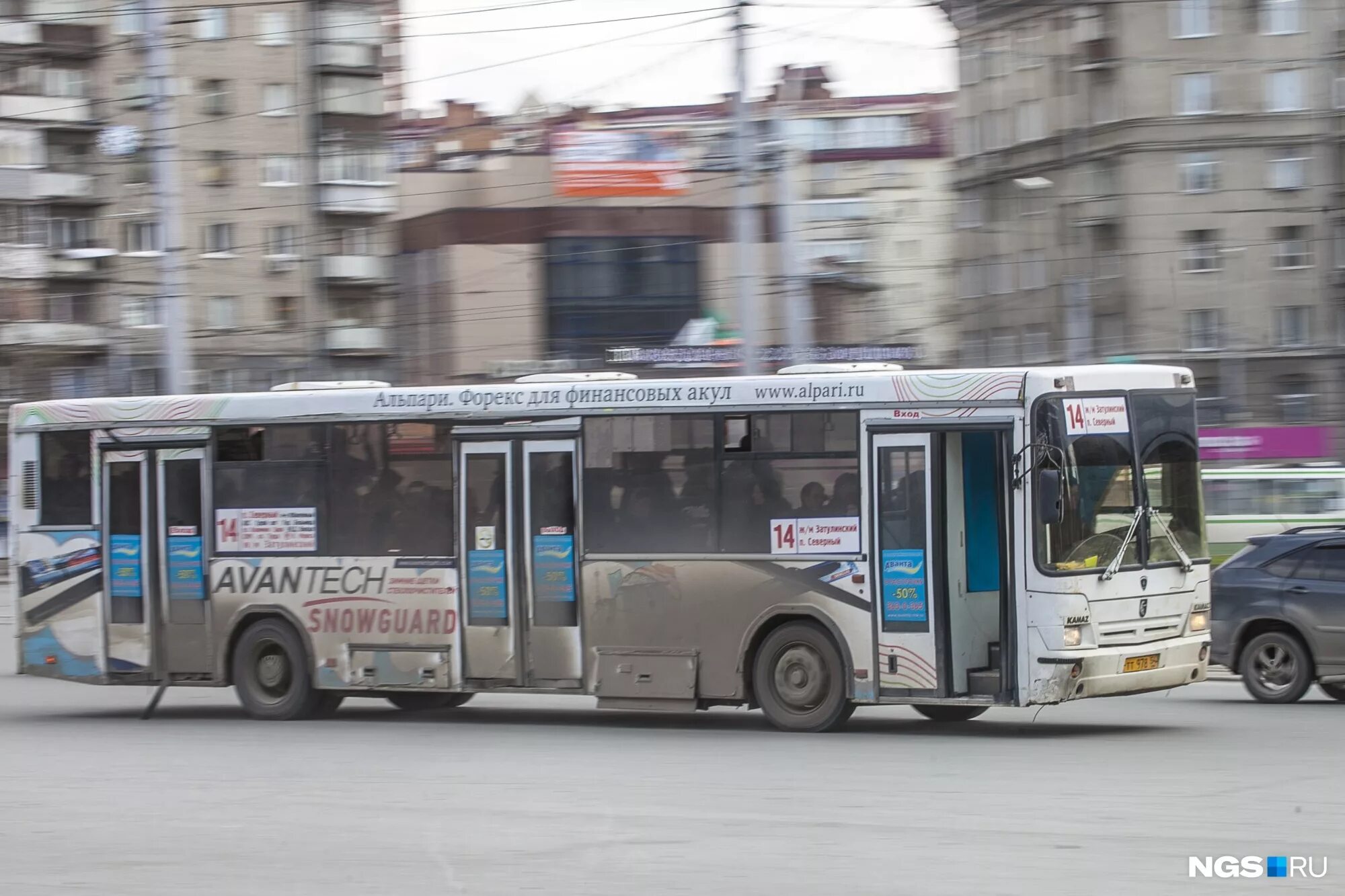 Новосибирск автобус ру. Автобус 53 Новосибирск. 14 Автобус Новосибирск. Общественный транспорт Новосибирск. Автобус 39 Новосибирск.