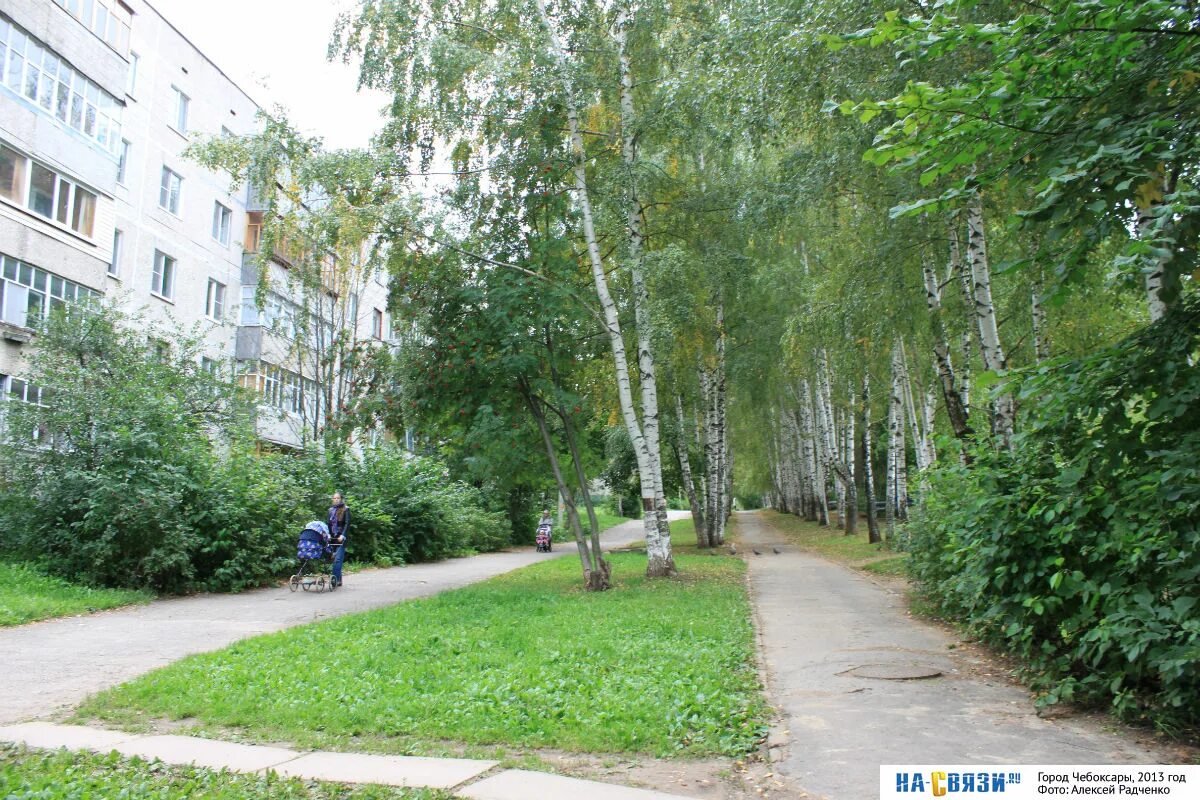 Б р школьный. Гбоу школа 1811 восточное измайлово. Платановый бульвар краснодар. Школьный бульвар чебоксары на карте. Школьный бульвар 3 нижнекамск.