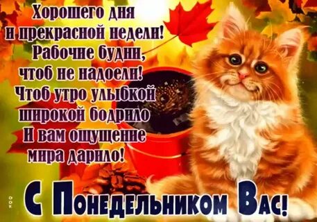 Доброе утро понедельника октября