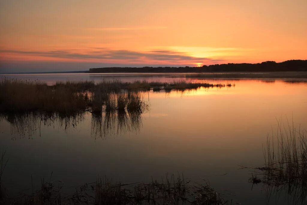 Горьковская озера. Горьковская озера. Озеро горькое, село новоключи. Горьковская озера. Парк озера владивосток.