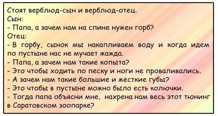 Анекдот про верблюда в зоопарке. Анекдот про верблюда который замерз. Зачем нам весь этот тюнинг в зоопарке. Анекдоты про верблюдов. Зачем сыну отец