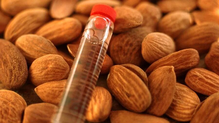 Орех текстура. Сладкий миндаль. Bitter almond. Орех. Ги миндаля.