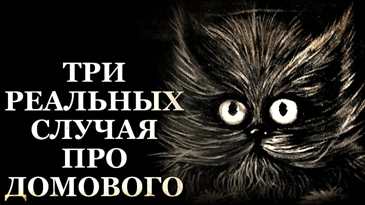 Домовой реальные истории из жизни