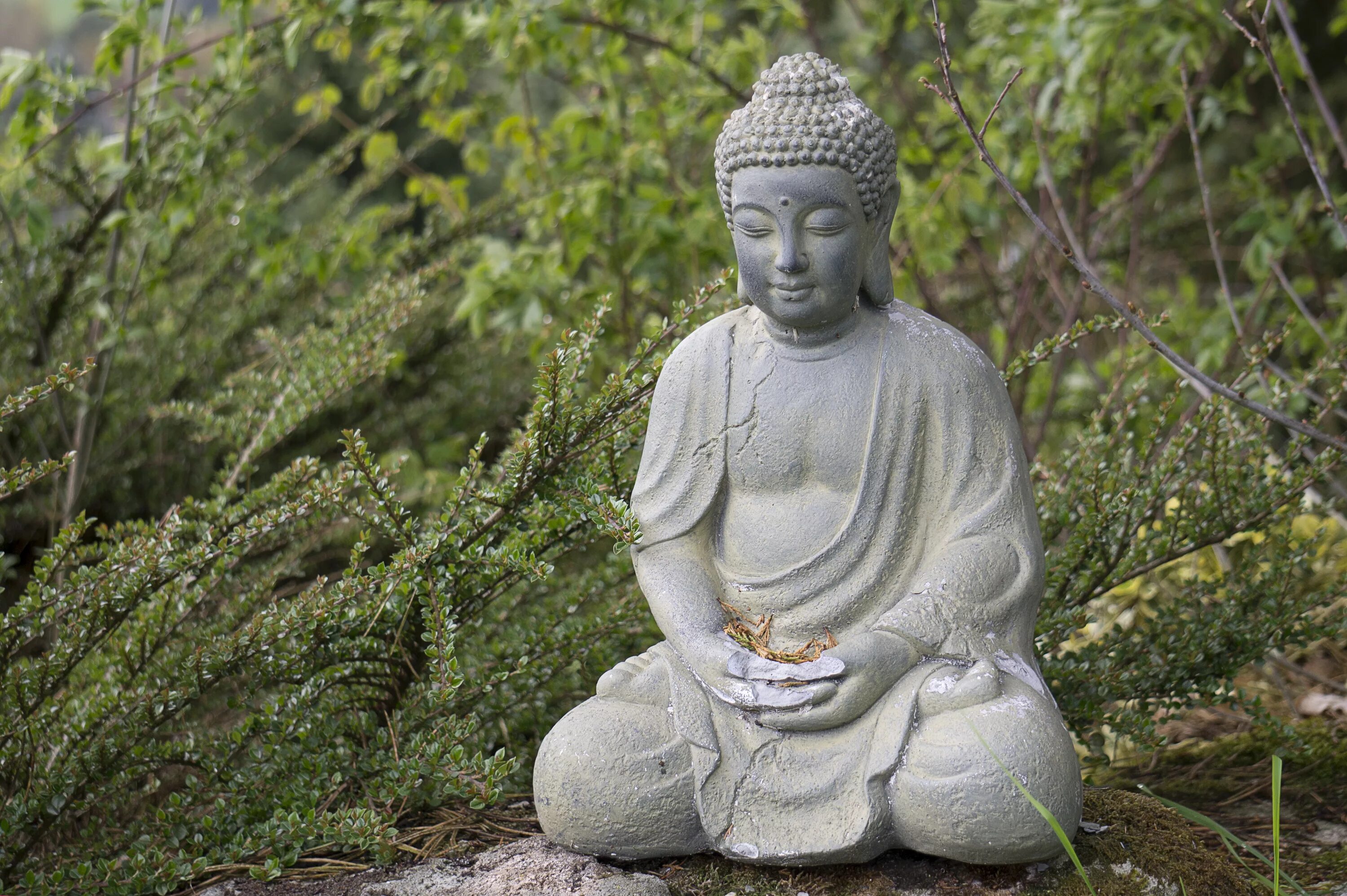 Май буда. Скульптура Будды Гаутамы. Будда Китай статуя Гаутама. Будда Шакьямуни статуя. Будда Гаутама Бодхисаттва.