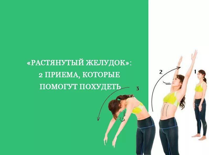 Потянула желудок. Нормальный и растянутый желудок. Потянула желудок. Пищеварение в желудке фазы секреции. Объем желудка.