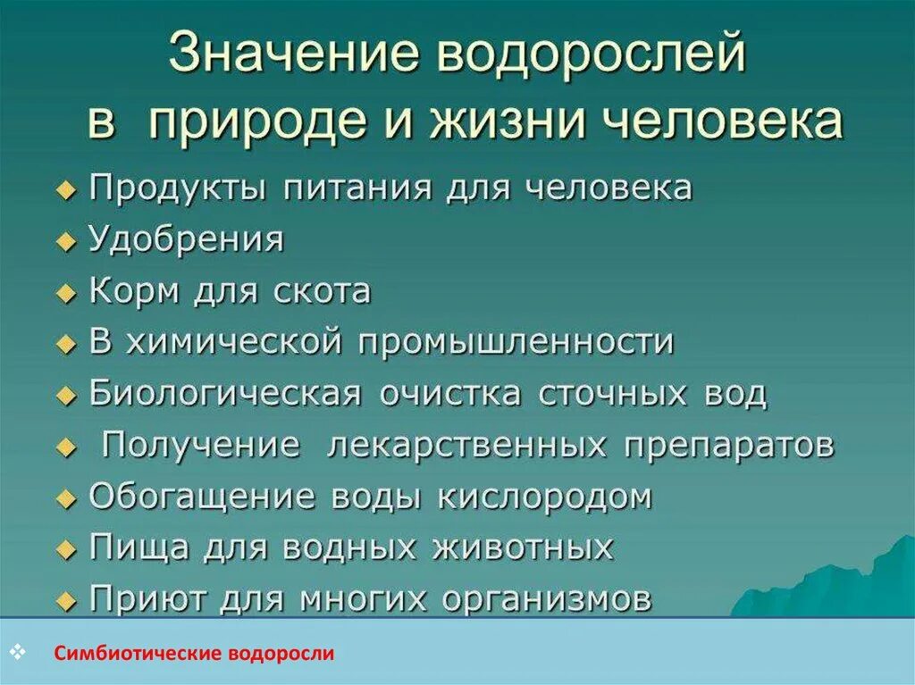 Каково значение ламинарии в жизни человека назовите. Значение диатомовых водорослей в природе и жизни человека. Диатомовые водоросли значение. Диатомовые водоросли значение в природе. Диатомовые значение в жизни человека и природы.