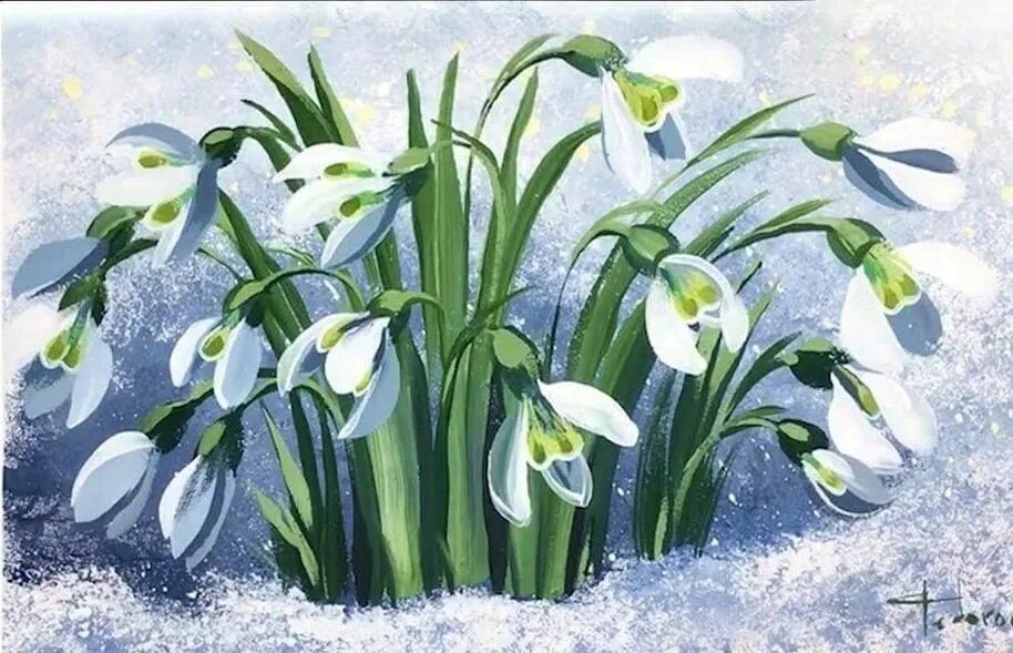 Galanthus – «молочный цветок». Апрель Подснежник Чайковский. День подснежника.