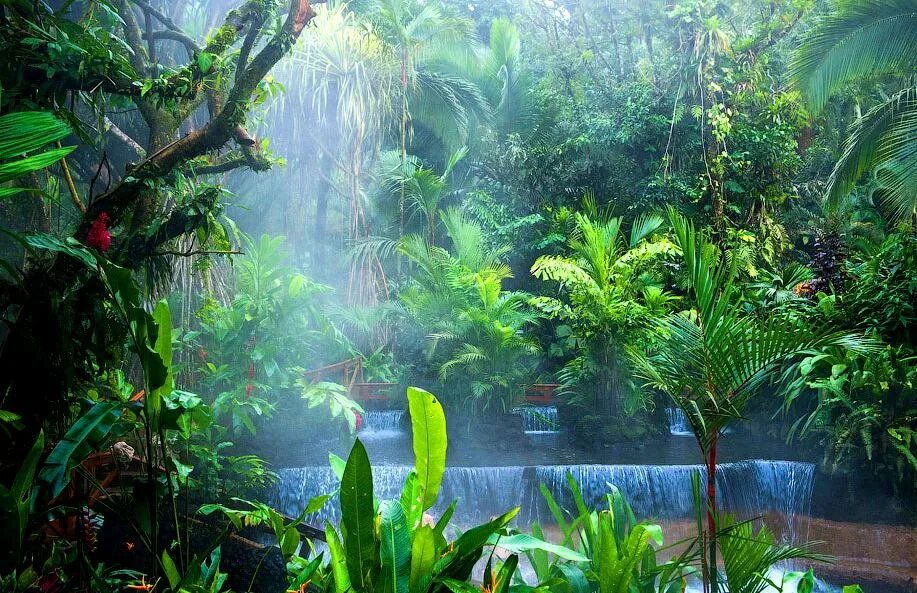 Национальный парк Тортугеро, Коста-Рика. Монтеверде Коста Рика. Климат Коста Рики. Нац парки Коста Рики. Кост климат