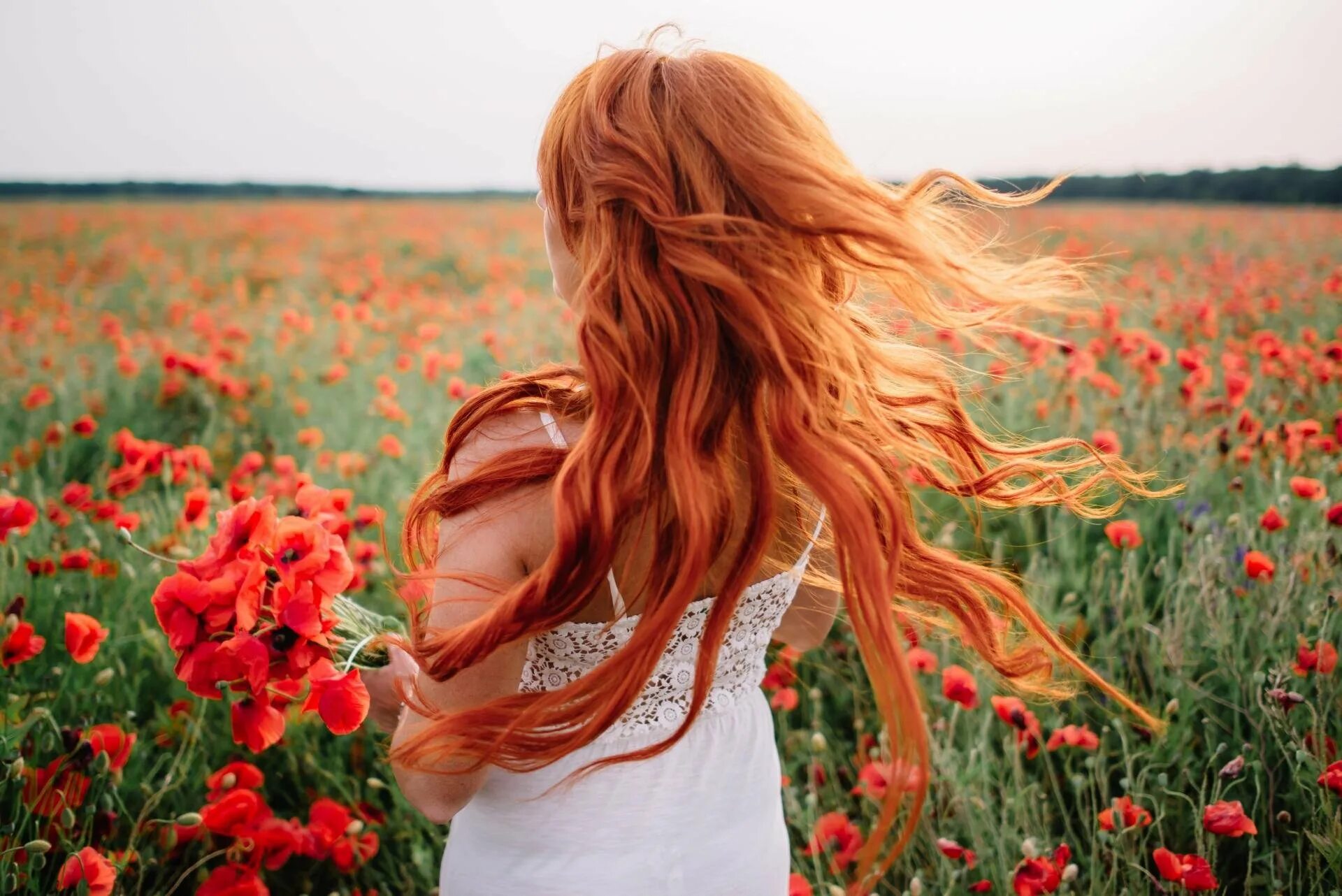 Рыжая девушка в поле. Девушки с рыжими волосами в поле. Рыжие волосы. Рыжая девушка со спины.