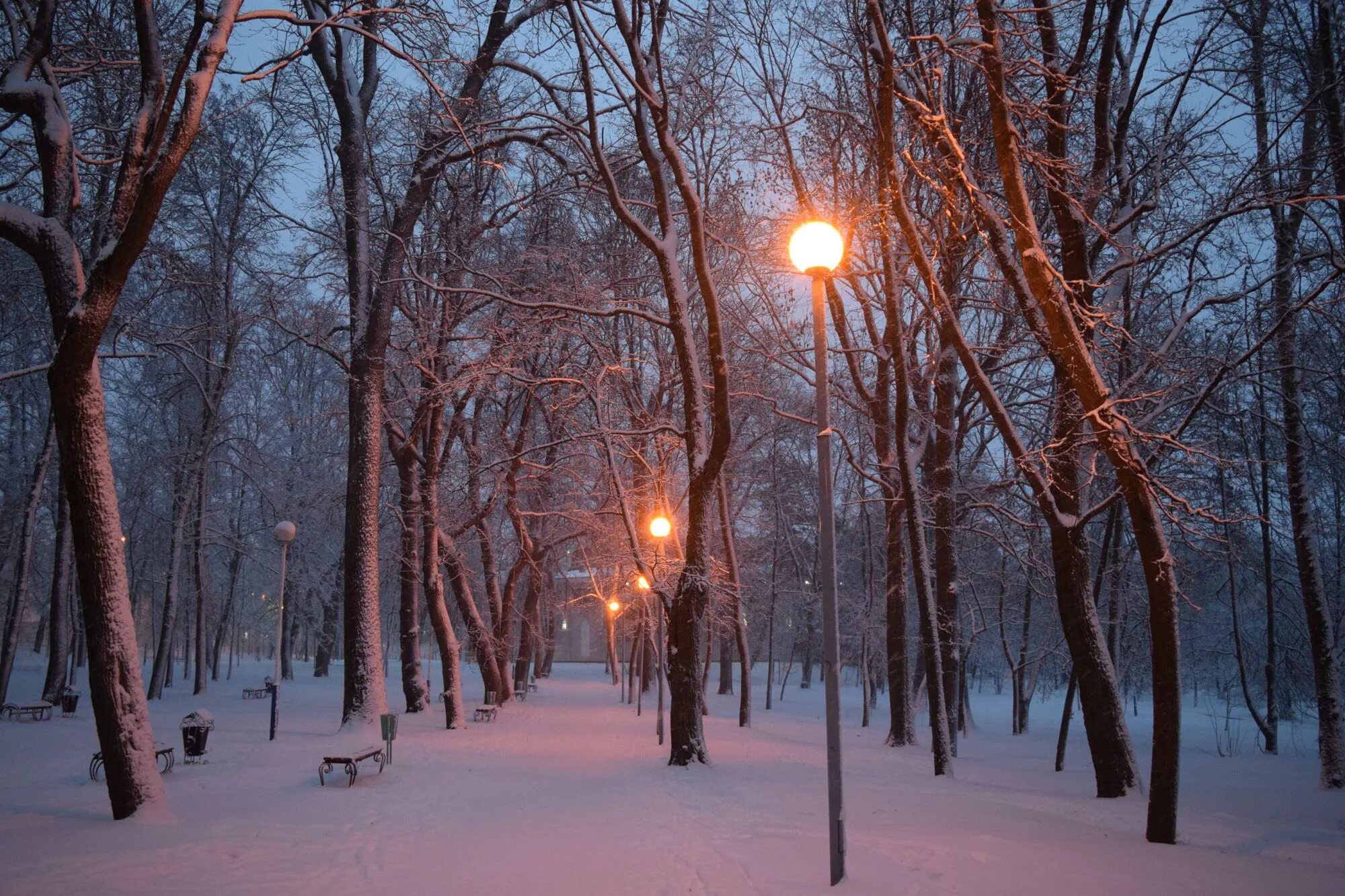 Вечер декабрь. Парк Орленок зима. Миусский парк зимой. Зимний сквер. Зимняя аллея.