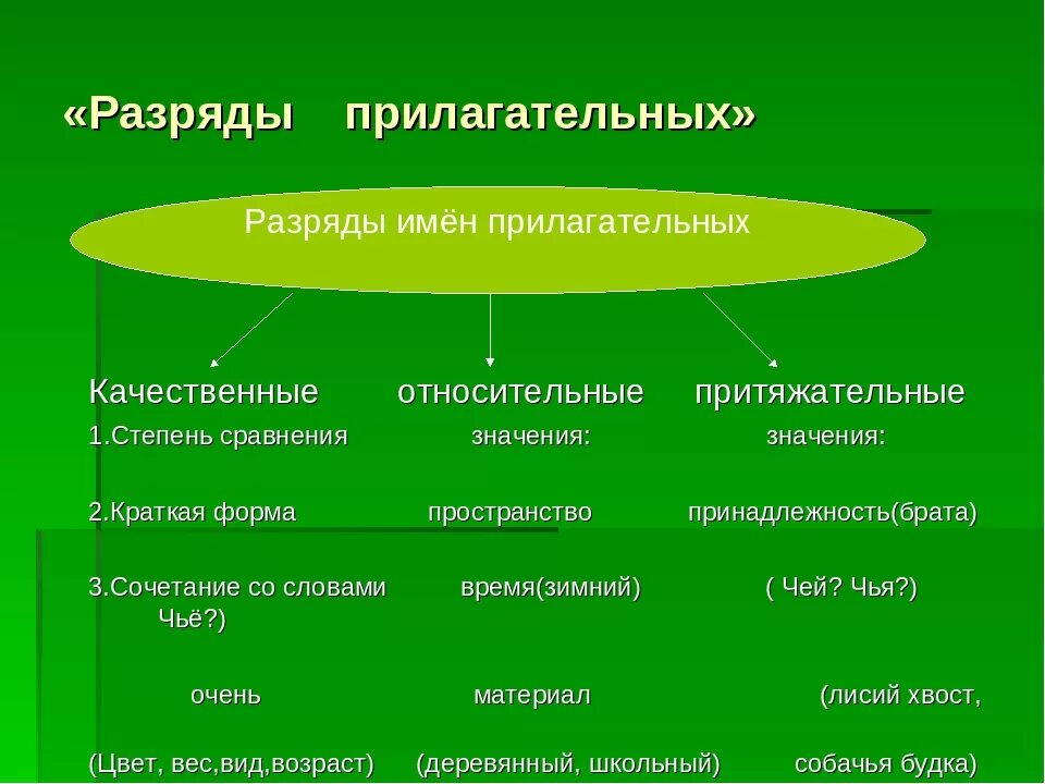 Качественные относительные и притяжательные 6 класс