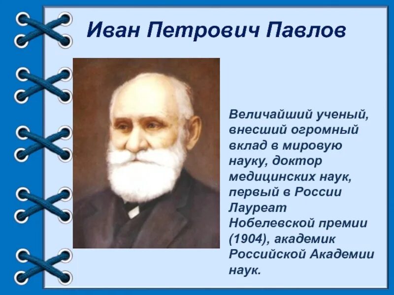 Ип павлова александров