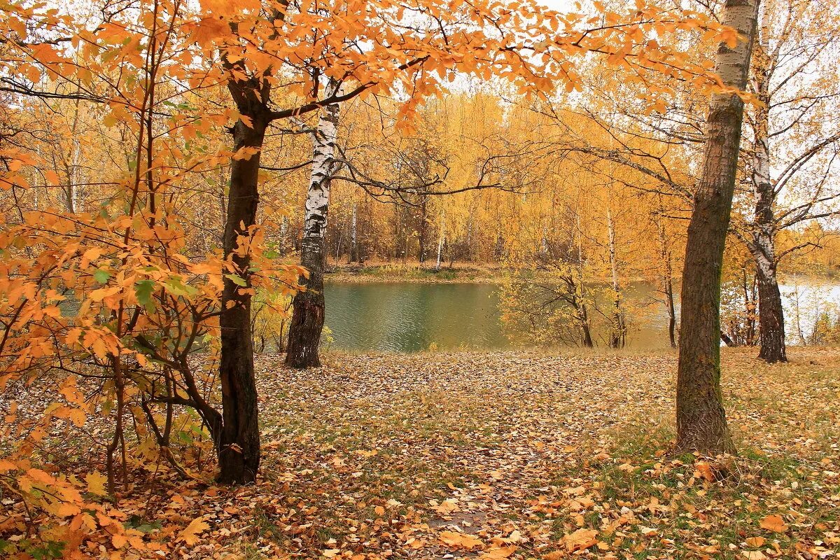 нижний новгород кремль осень. осень выдалась. старая русса осень. ребенок улыбается осень фиолетовый. осень выдалась.