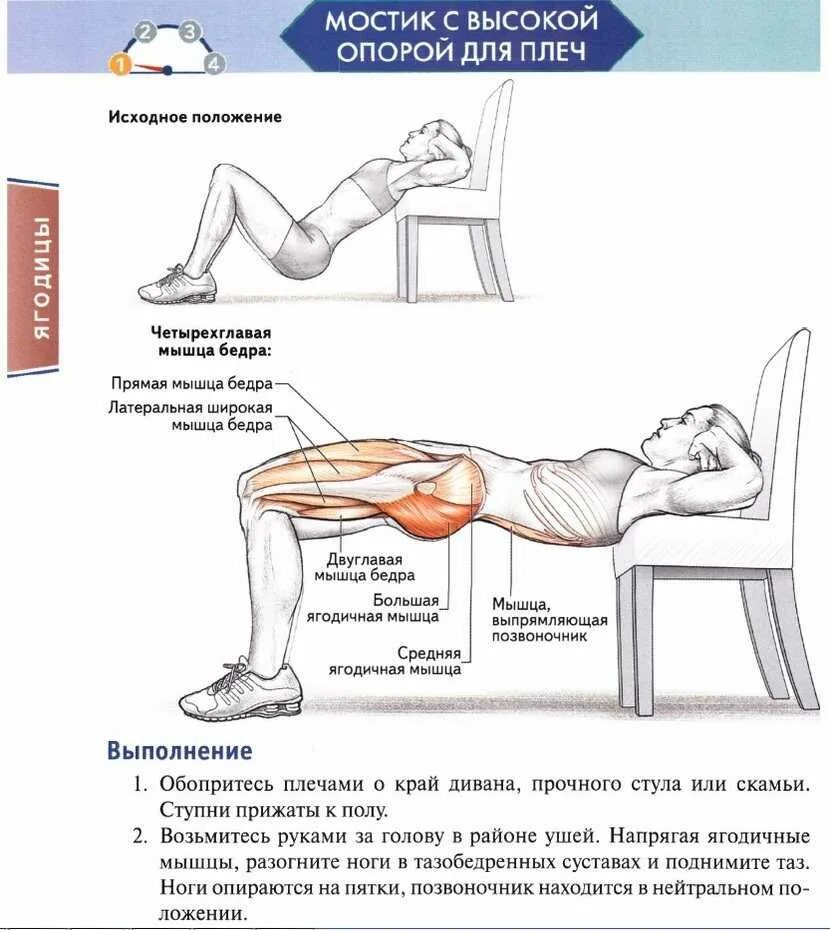 Как убрать ягодицы мужчине. Ягодичный мостик задействованные мышцы. Ягодичный мостик со штангой схема. Ягодичный мостик техника для мужчин со штангой. Ягодичный мост с опорой на скамью.