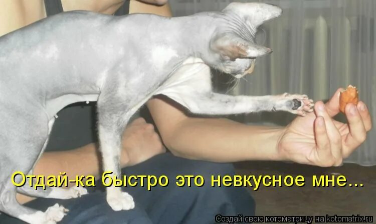 включай ка быстро