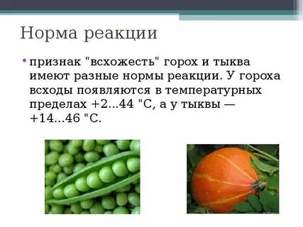Норма реакции схема