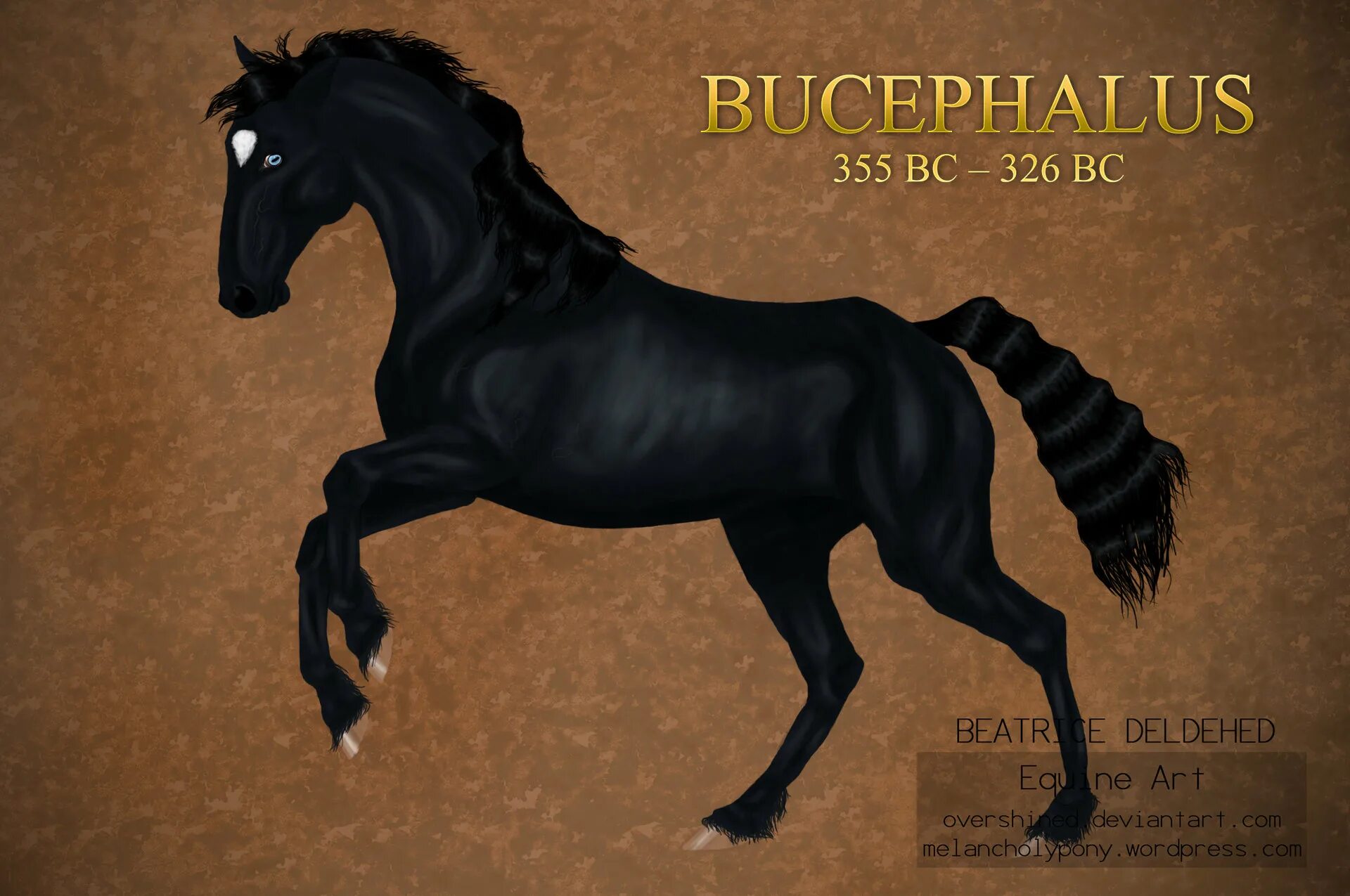 Фризская лошадь Буцефал. Буцефал это чей конь