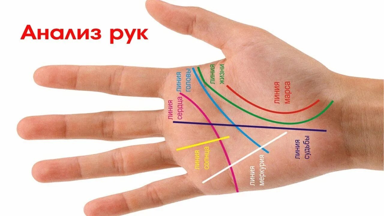 Порции еды по ладони. Чтение по ладоням Eng. Самостоятельная по судьбе человека