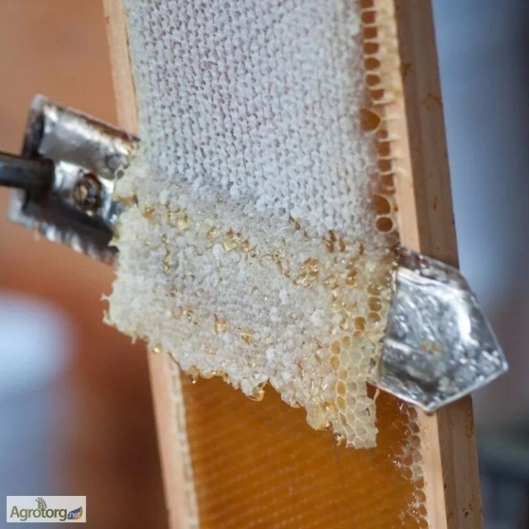 Воск забрус. Что такое забрус. Пчелиный забрус лечебные. Забрус пчелопродукт. Забрус пчелиный.