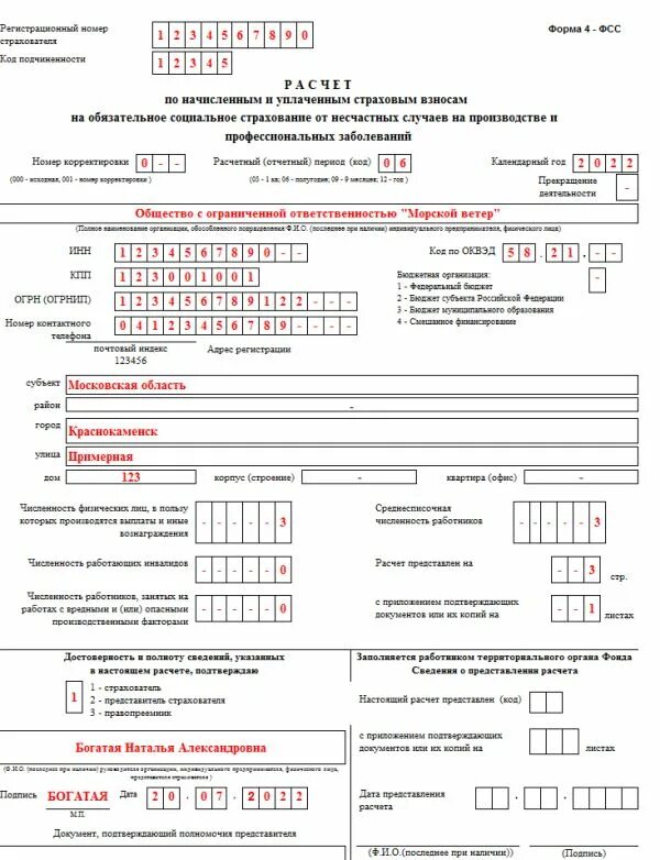 Изменения фсс 2025. 4фсс 2025 форма. фсс форма 4 фсс в 2025 году. новая форма 4 фсс за 2 квартал 2025 года.