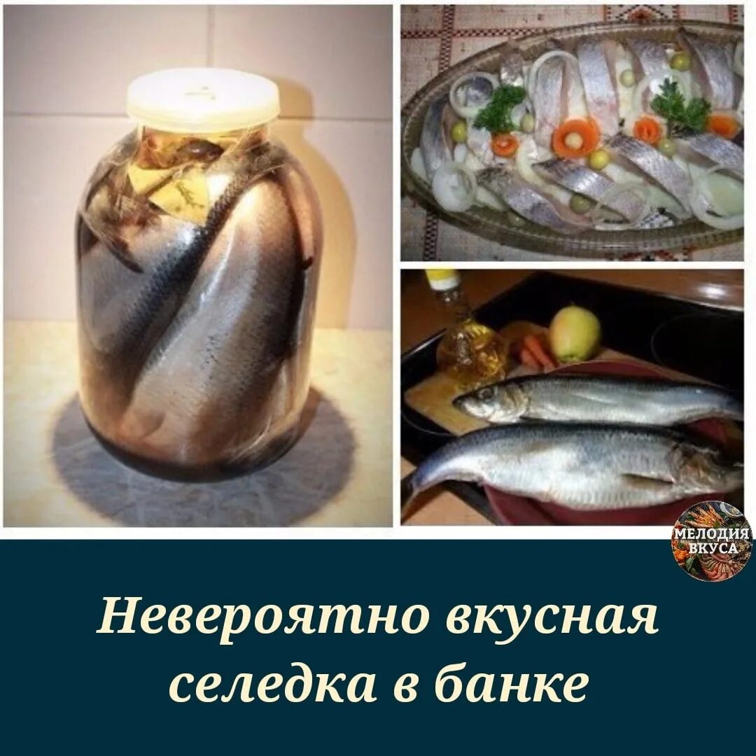 Консервы в банке. Скумбрия в банках. Банки под рыбу. Консервы в жестяных банках. Рыба в стеклянной банке.