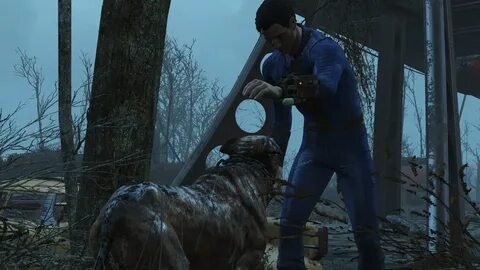Fallout 4 собака