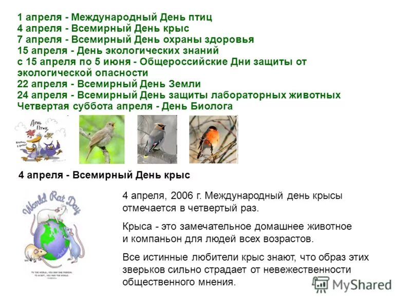 4 апреля дата. Всемирный день крысы 4 апреля. 4 апреля праздник день крысы. когда всемирный день крысы. 5 апреля день крысы.
