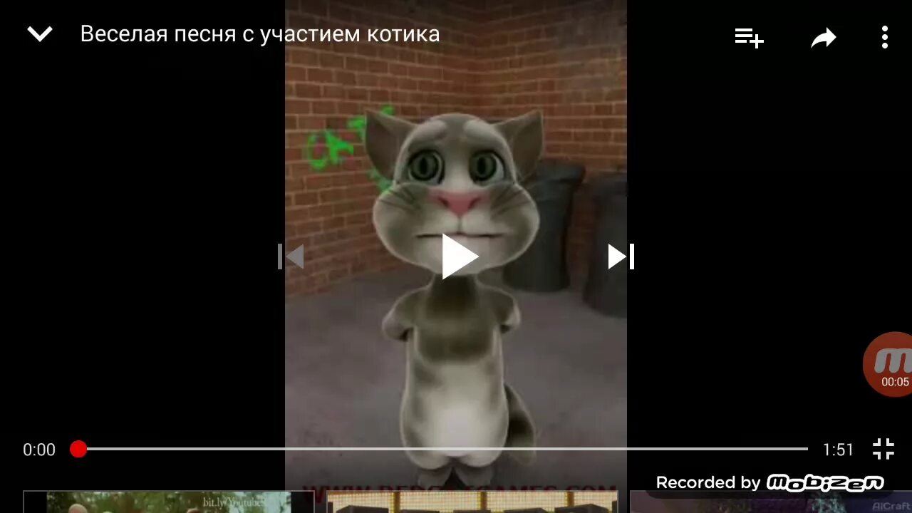 Включи видео кот песни. Веселая песня про кота. Песни про котиков. Песенка про котика. Песенка про кота.