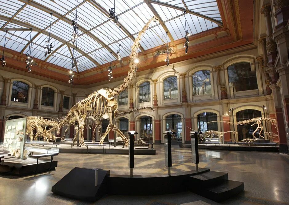 Музей истории телефона в москве. Музей метрополитен в нью-йорке современное искусство. Музей янтаря в паланге (паланга). Музей русского искусства за рубежом. Museum definition.