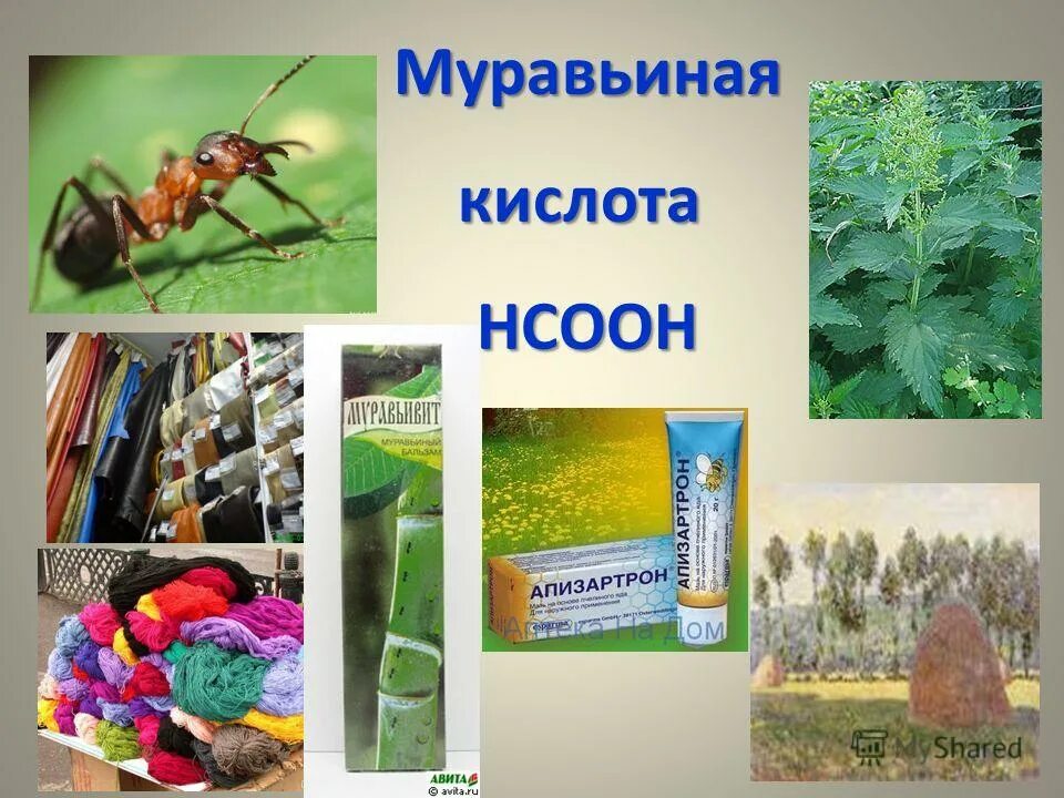 Несмотря на муравьиную склонность. Муравьиная кислота в природе. Муравьиная кислота в пищевой промышленности.