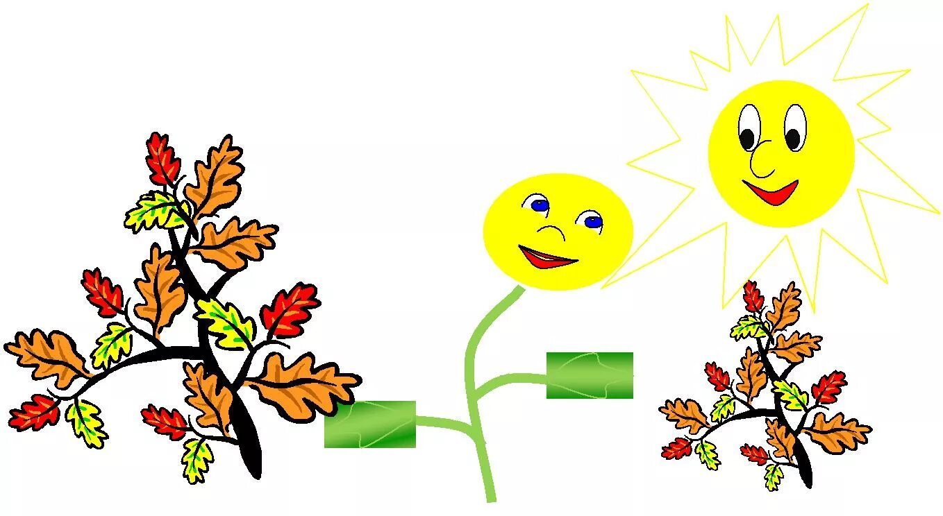 Графический редактор. Векторная графика конспект. Растровый графический объект. Векторная графика используется. Векторная графика конспект.