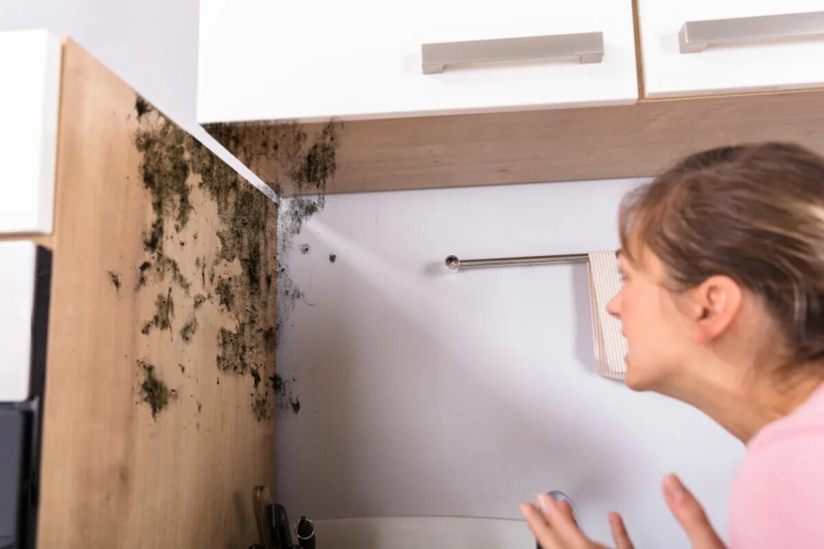 Запах влажности