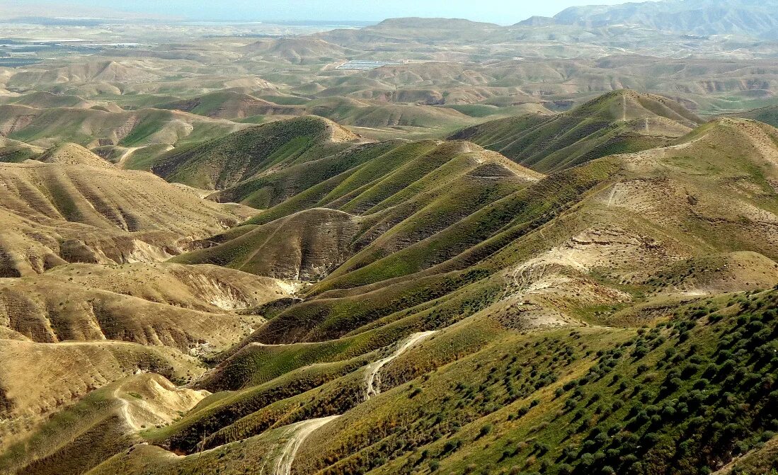 Гора иудеев. Гора иудеев. Иудейские горы горы израиля. Иудейские горы израиль. Иудейские горы израиль.