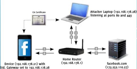 Mitmproxy