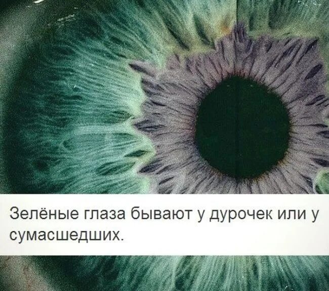 Зеленый цитаты. Зеленые глаза бывают. цитаты про зеленые глаза. приколы про зеленые глаза. зеленые глаза надпись.