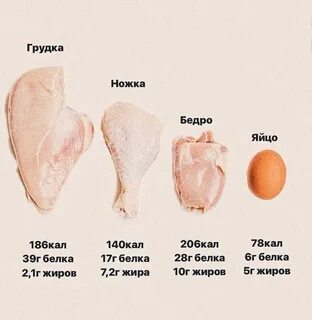 Что лучше бедра или голень