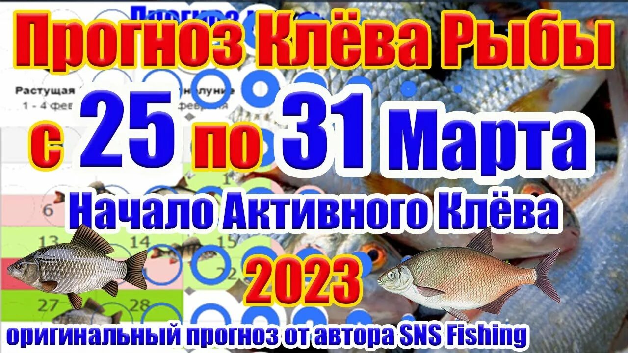 Календарь рыболова. Календарь рыболова 2023. Календарь рыбака 2023. Рыболовный лунный календарь. Рыболовный лунный календарь на март