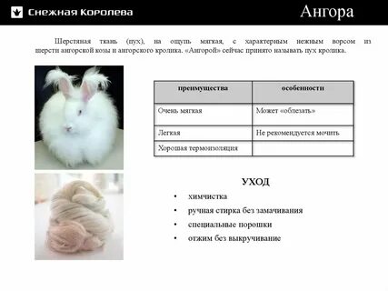 Ангора лезет что делать