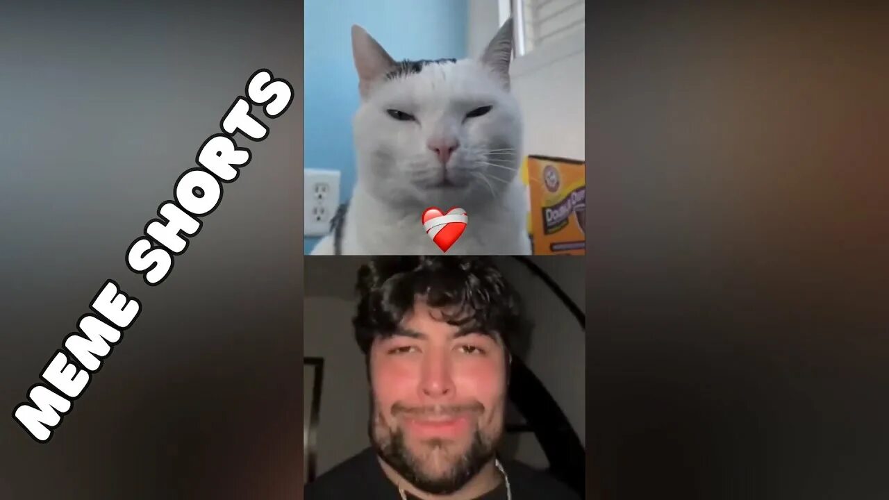 Blue - Pycho: Şarkı Sözleri, Müzik Videoları ve Konserler