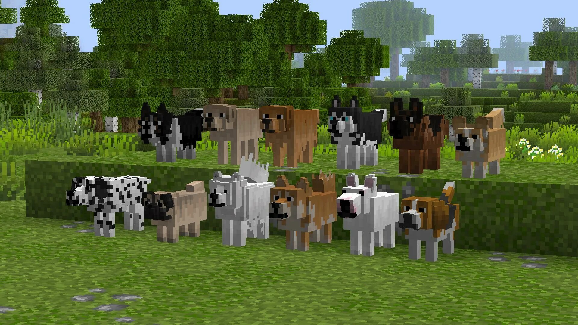 Cats mod minecraft