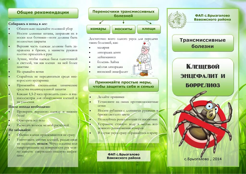 Листовка биология. Профилактика клещевого энцефалита буклет. Брошюра клещевой энцефалит. Клещевой энцефалит буклет. Буклет по профилактике клещевого энцефалита.