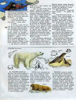 А дитрих г юрмин про собак