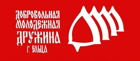 Дружина буквы