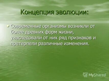 Организмы возникли в результате
